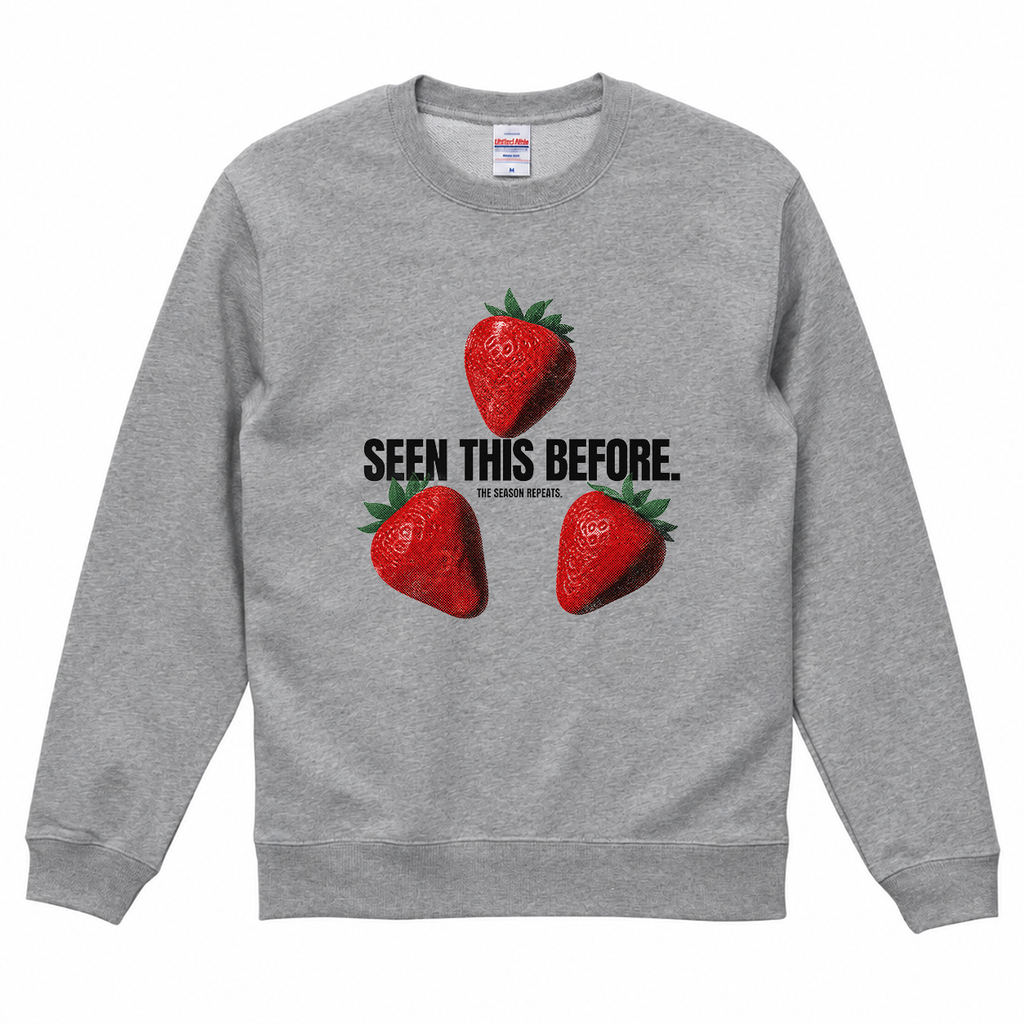 VELVEL sweatshirt Mixed Gray front